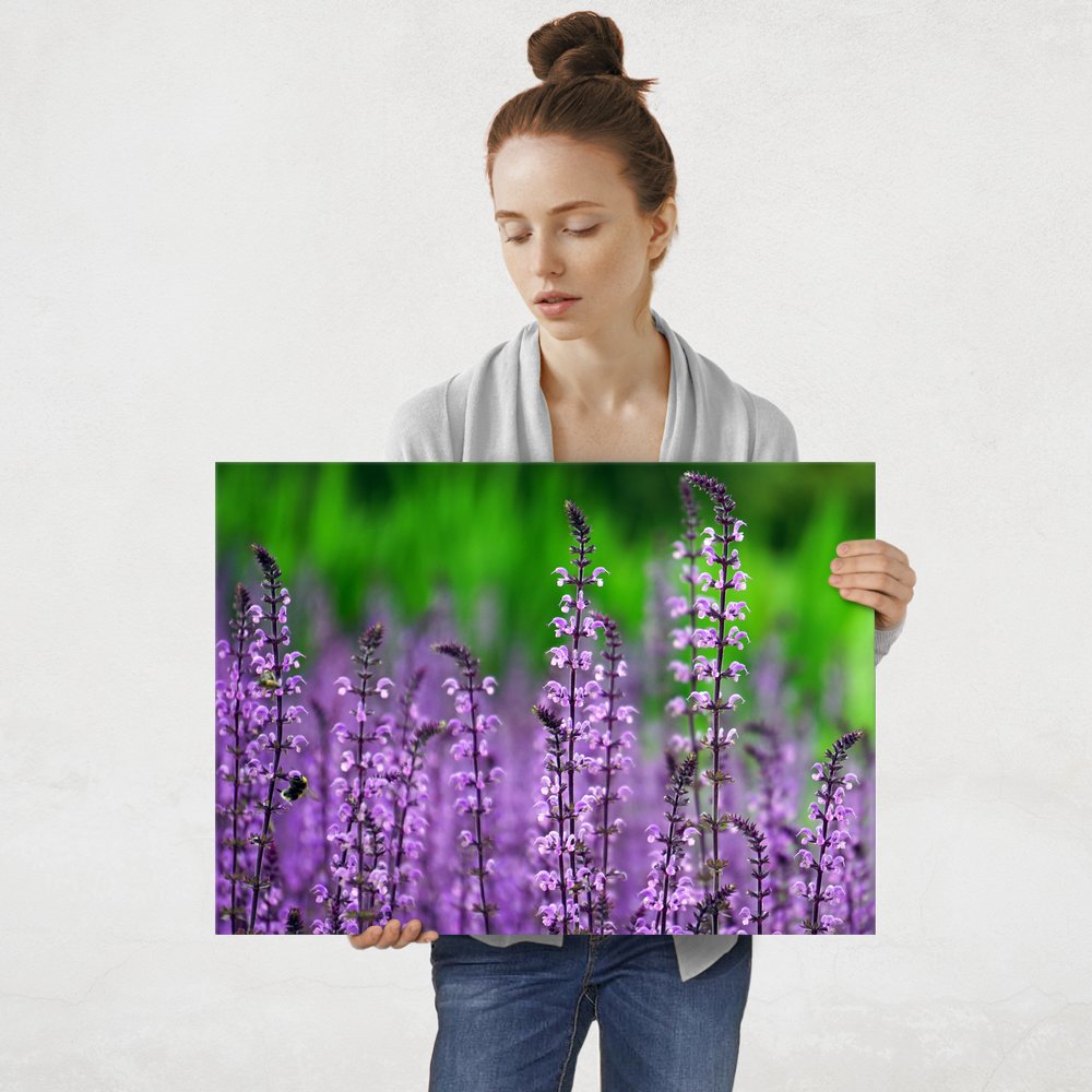 Plakat metalowy purpurowe piękno L