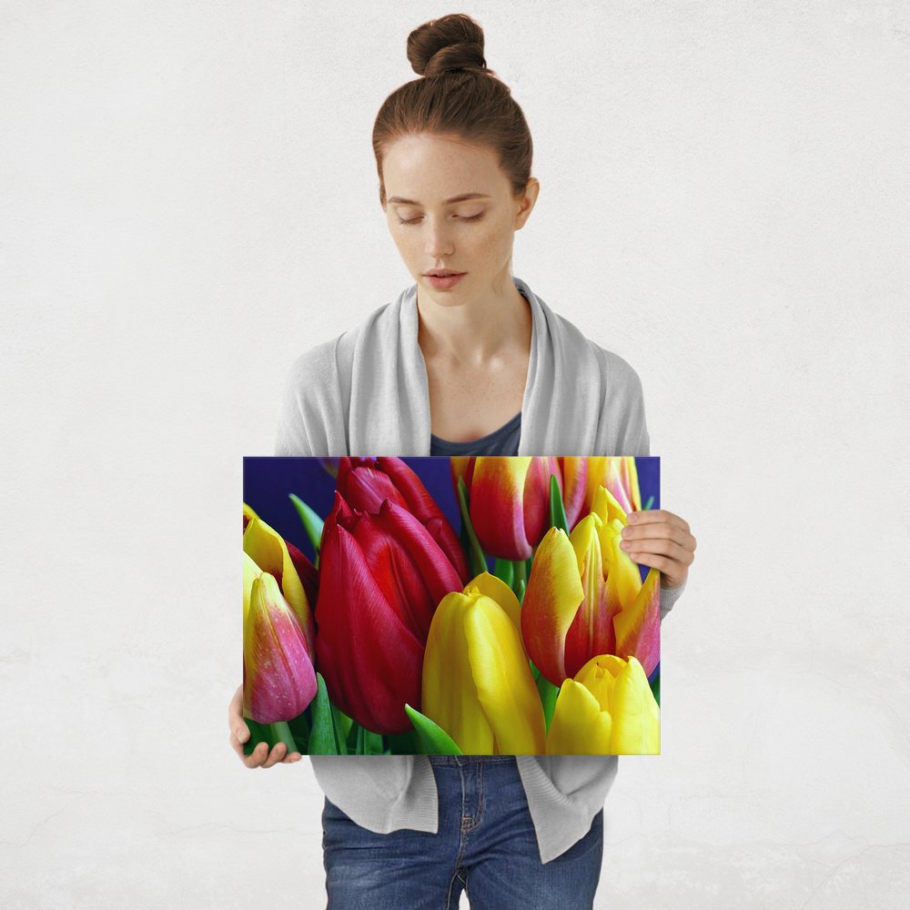 Plakat metalowy tulipany M