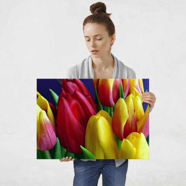Plakat metalowy tulipany L