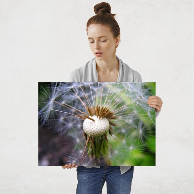 Plakat metalowy dmuchawiec L