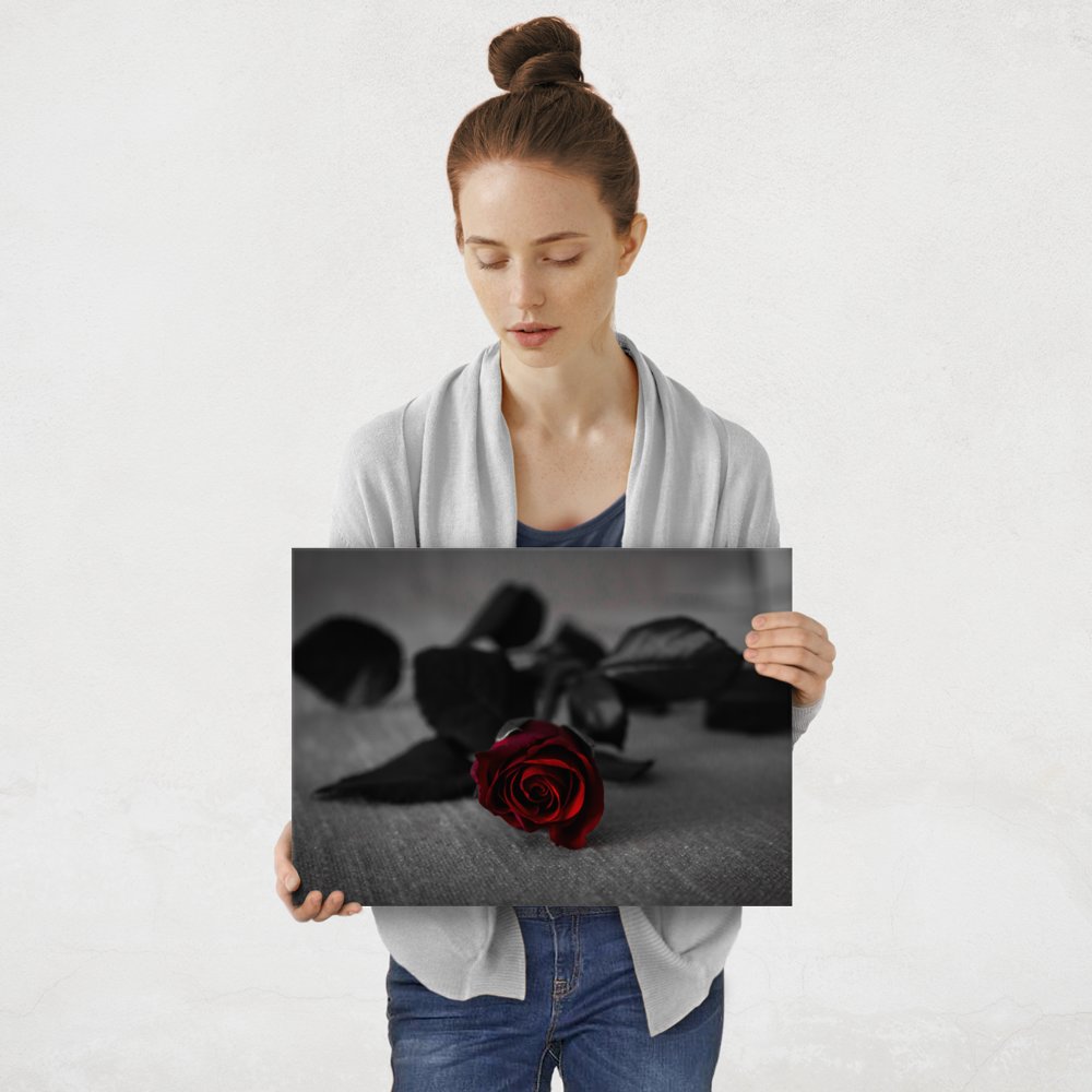 Plakat metalowy czerwień róży M