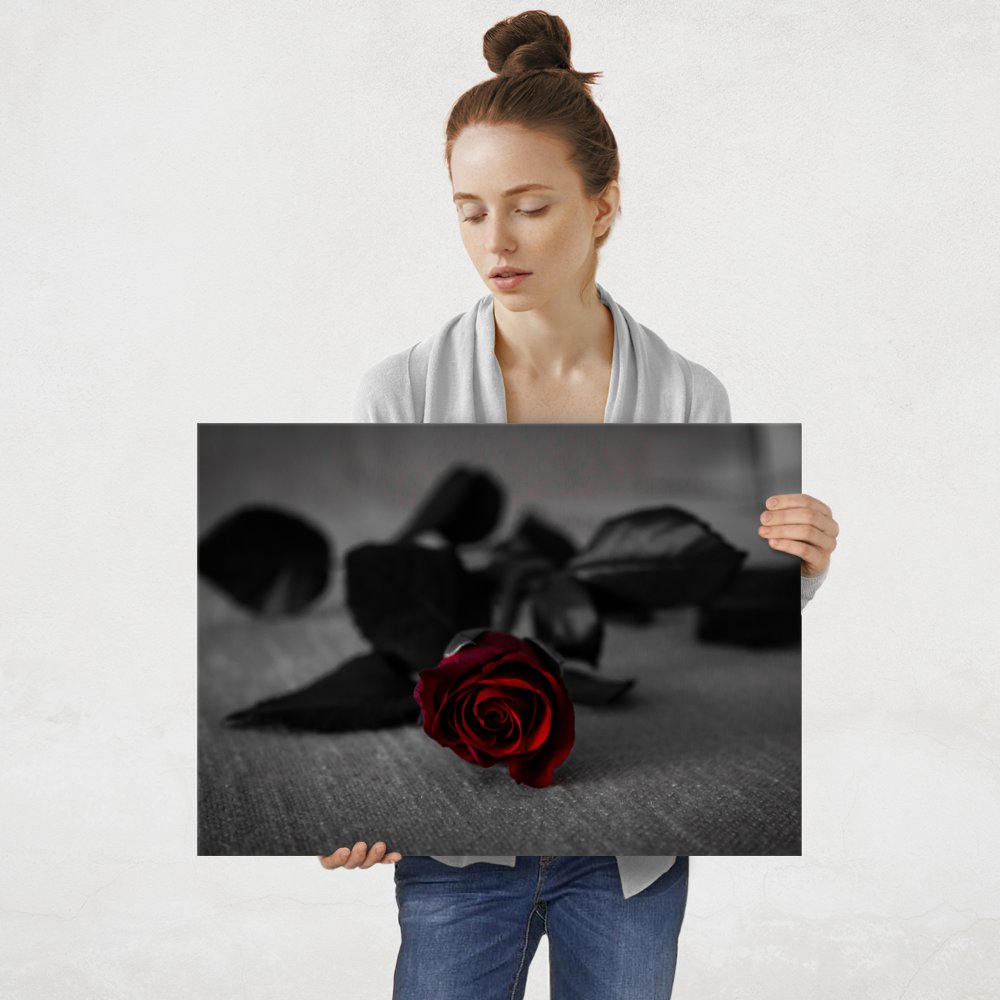 Plakat metalowy czerwień róży L