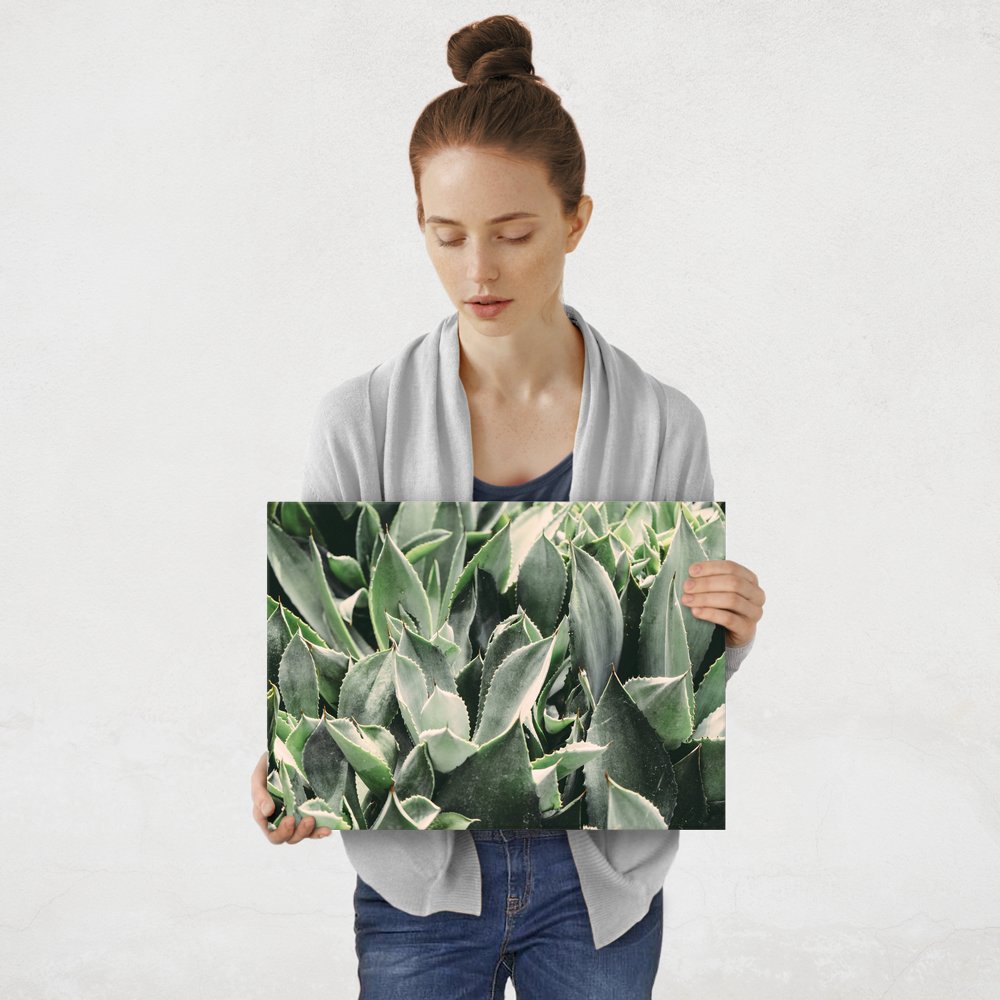 Plakat metalowy aloes M