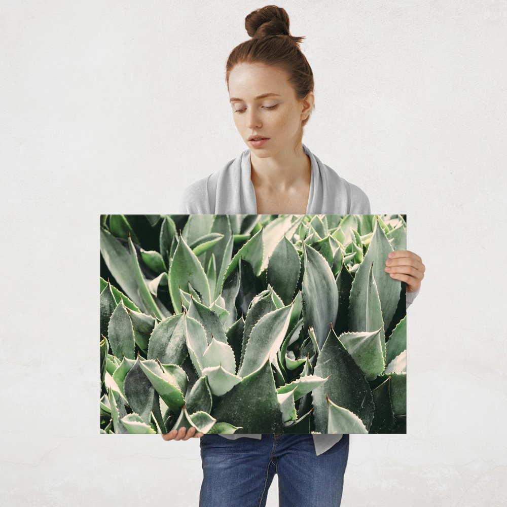 Plakat metalowy aloes L