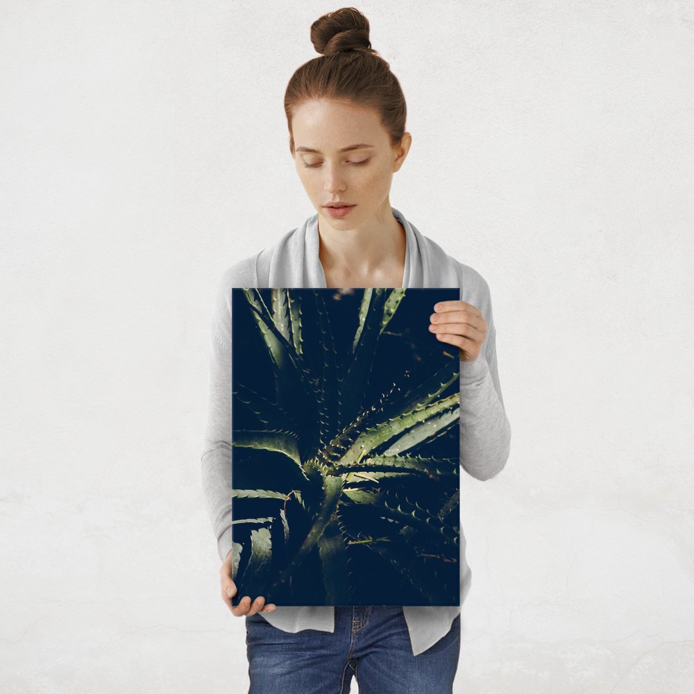 Plakat metalowy kaktus M
