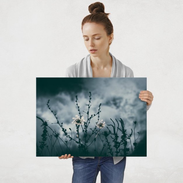 Plakat metalowy natura po zmroku L