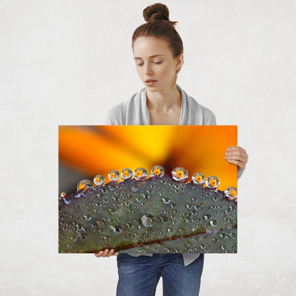 Plakat metalowy krople deszczu L