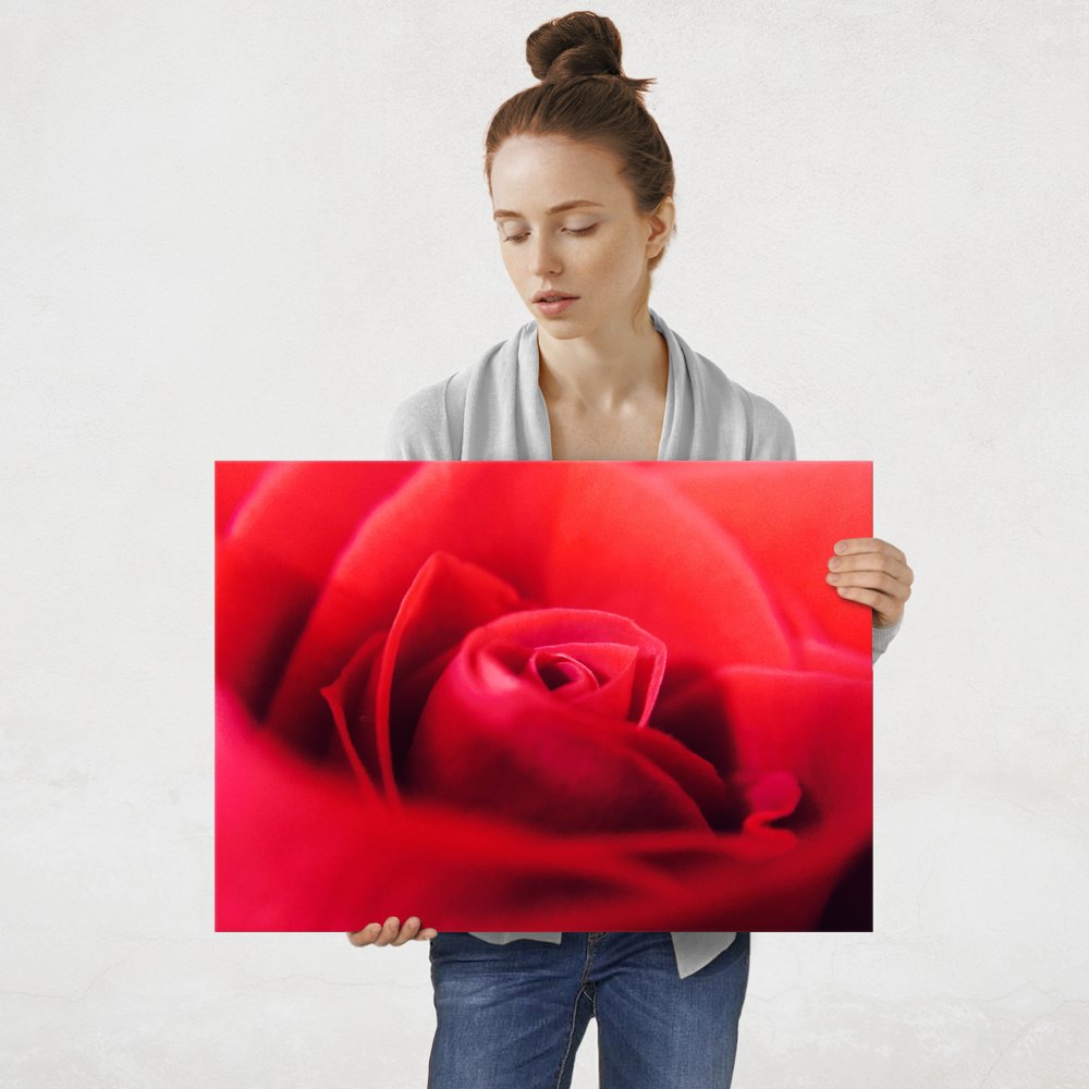 Plakat metalowy róża L