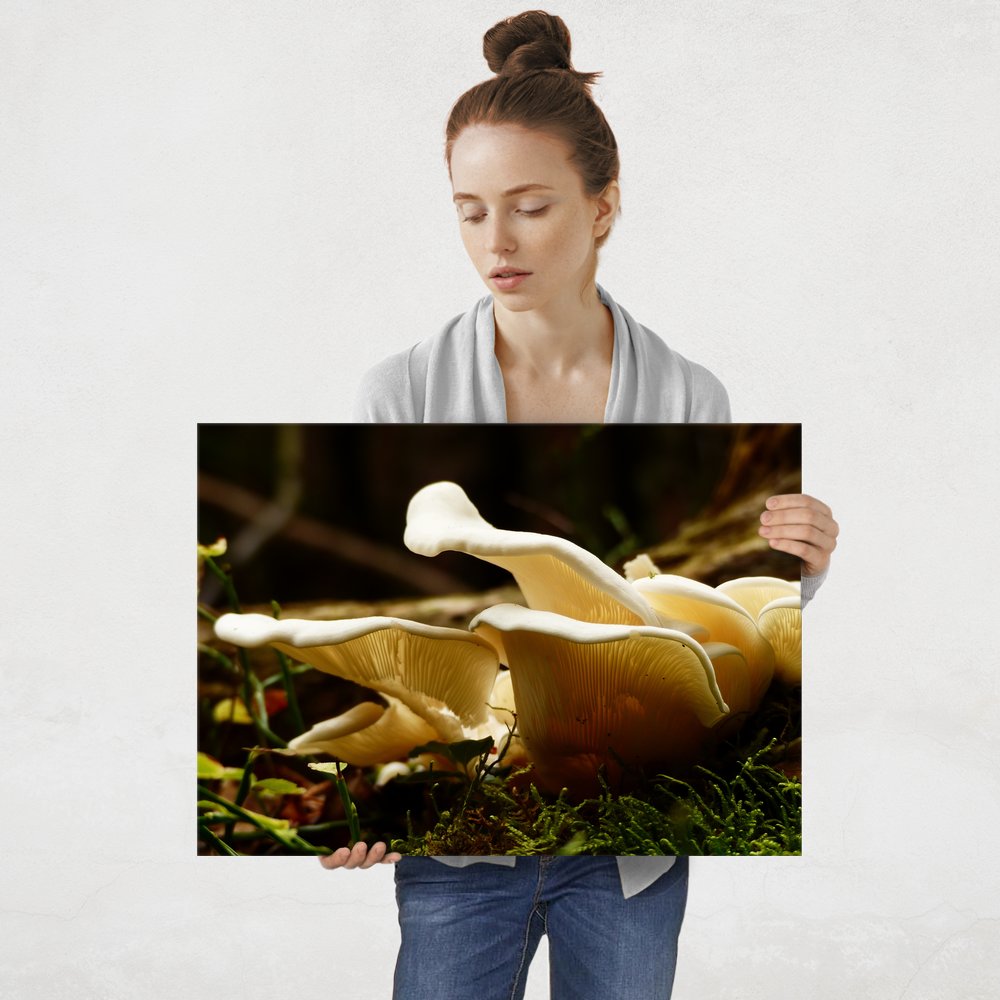 Plakat metalowy grzyby L