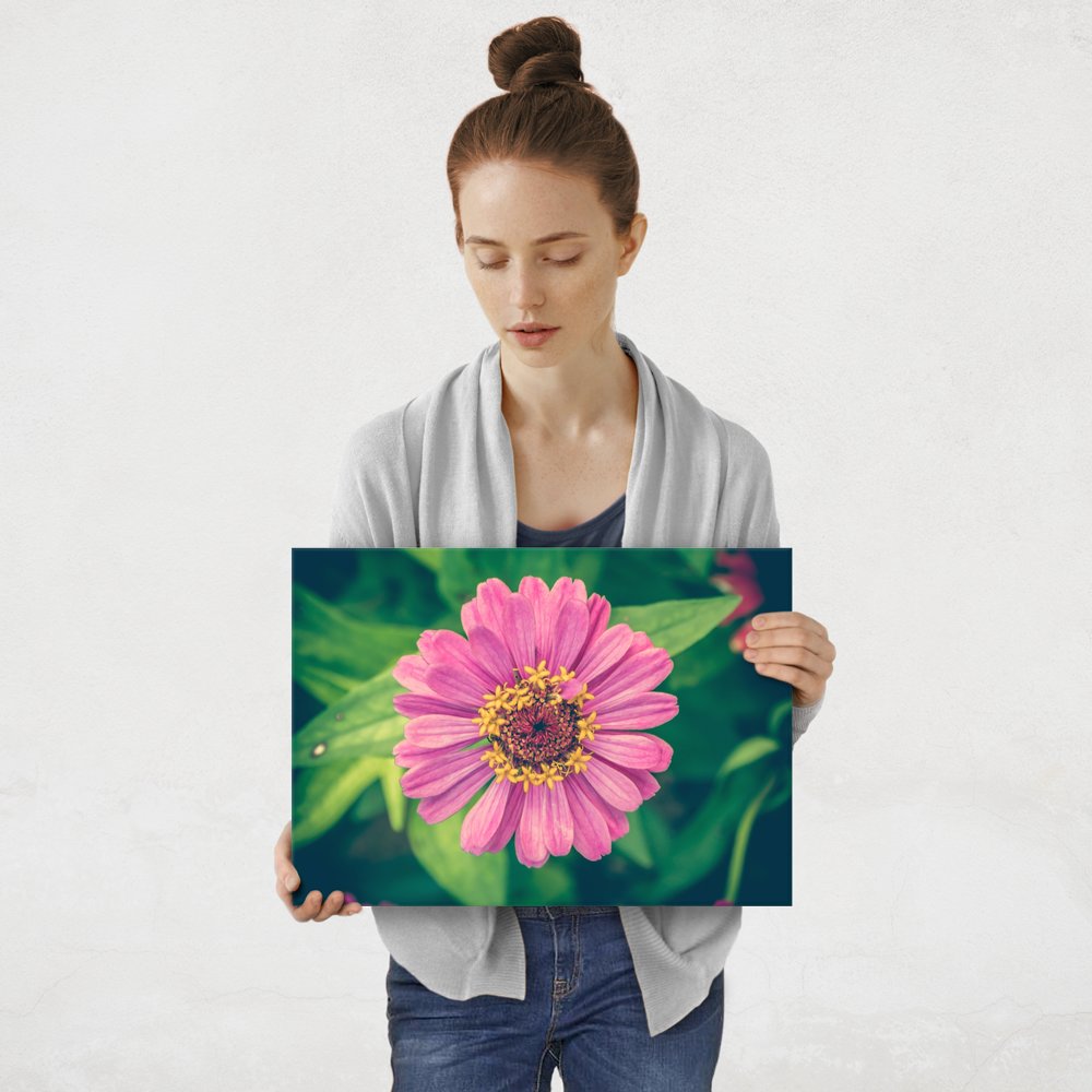 Plakat metalowy cynia M