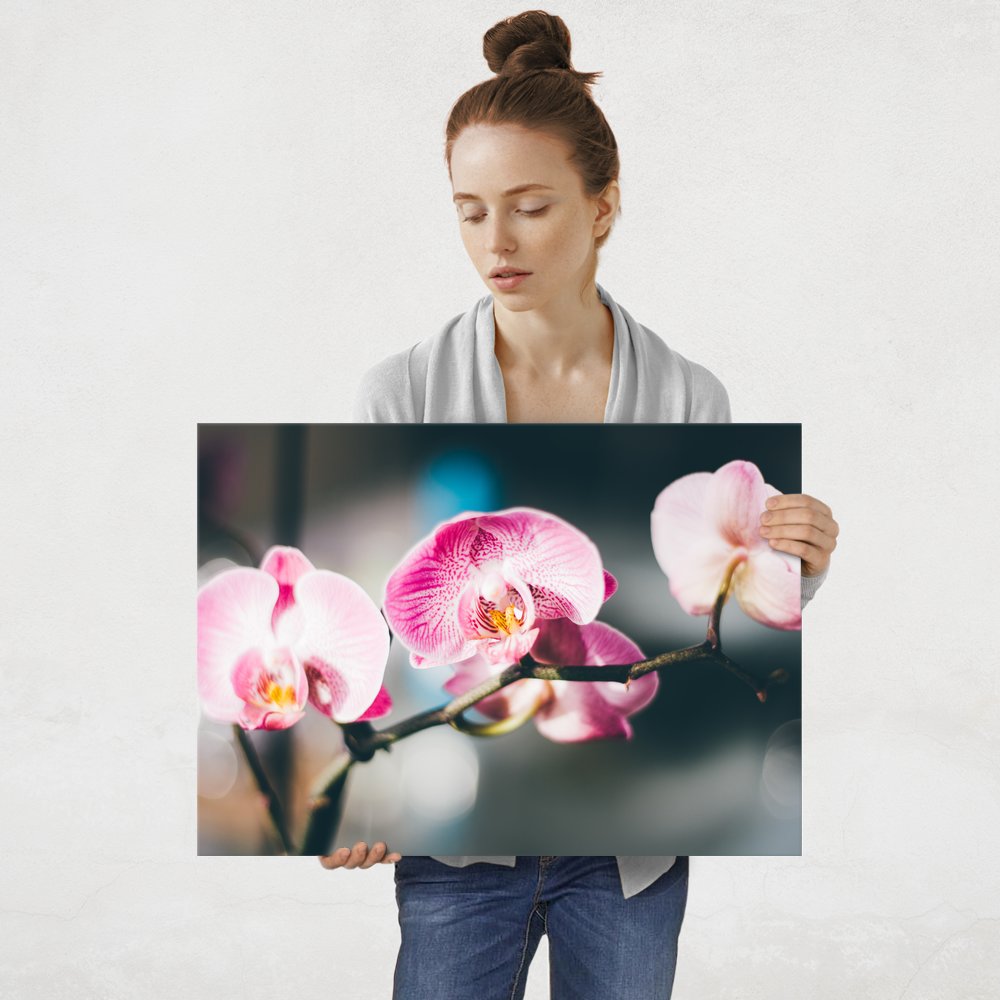 Plakat metalowy orchidea L