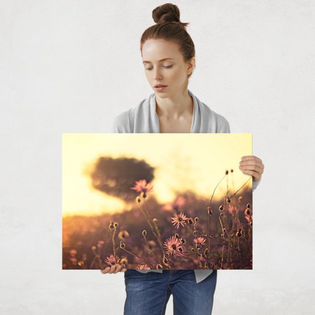 Plakat metalowy słoneczna łaka L