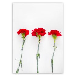 Plakat metalowy czerwone kwiaty L