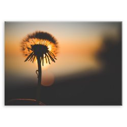 Plakat metalowy dmuchawiec L