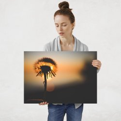 Plakat metalowy dmuchawiec L