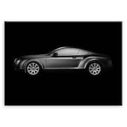 Plakat metalowy sportowy sedan L