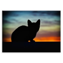 Plakat metalowy kocia sylwetka M