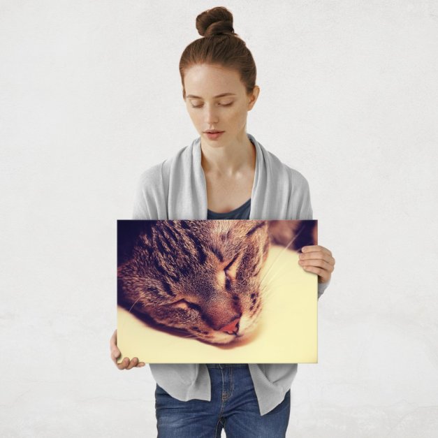Plakat metalowy kocia drzemka M