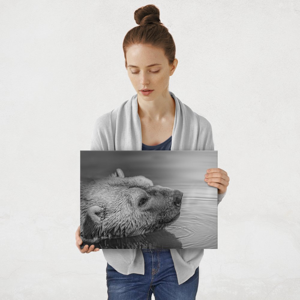 Plakat metalowy miś polarny M