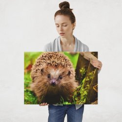 Plakat metalowy jeż L