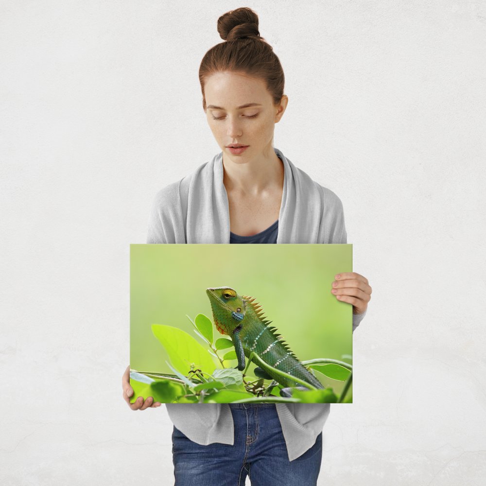 Plakat metalowy kameleon M