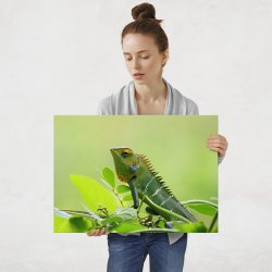 Plakat metalowy kameleon L
