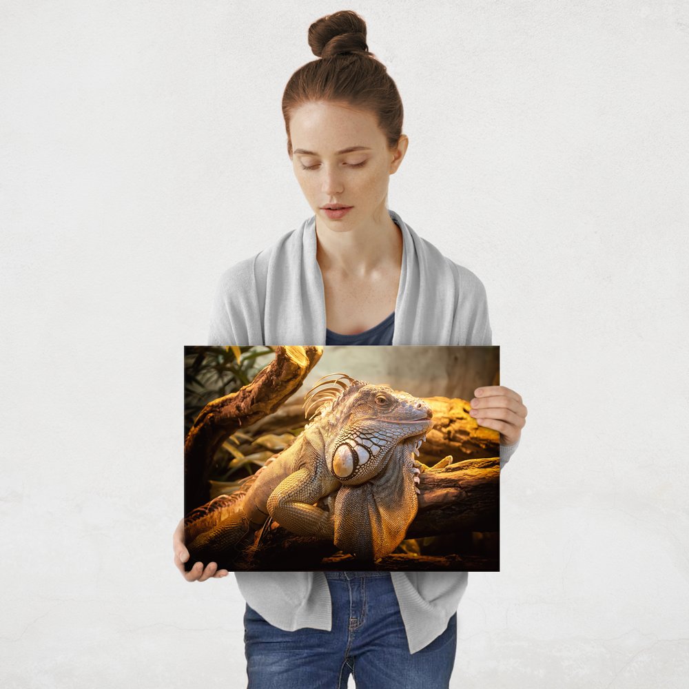Plakat metalowy iguana M