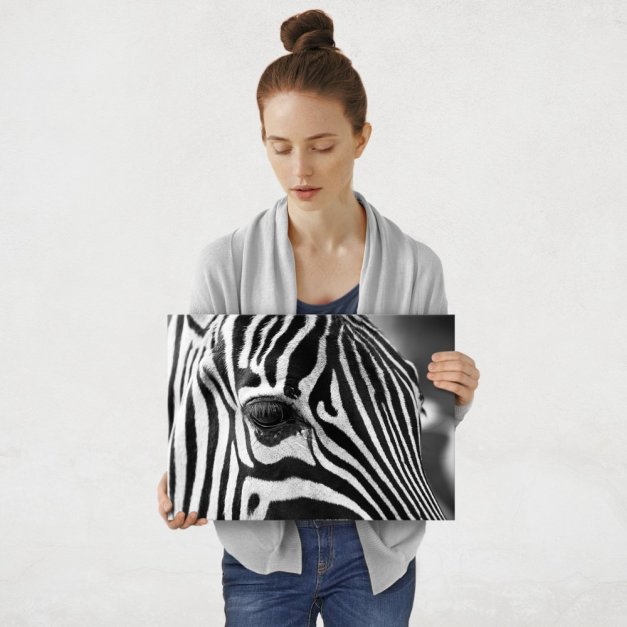 Plakat metalowy zebra M