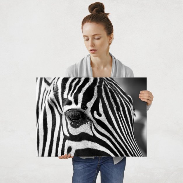 Plakat metalowy zebra L