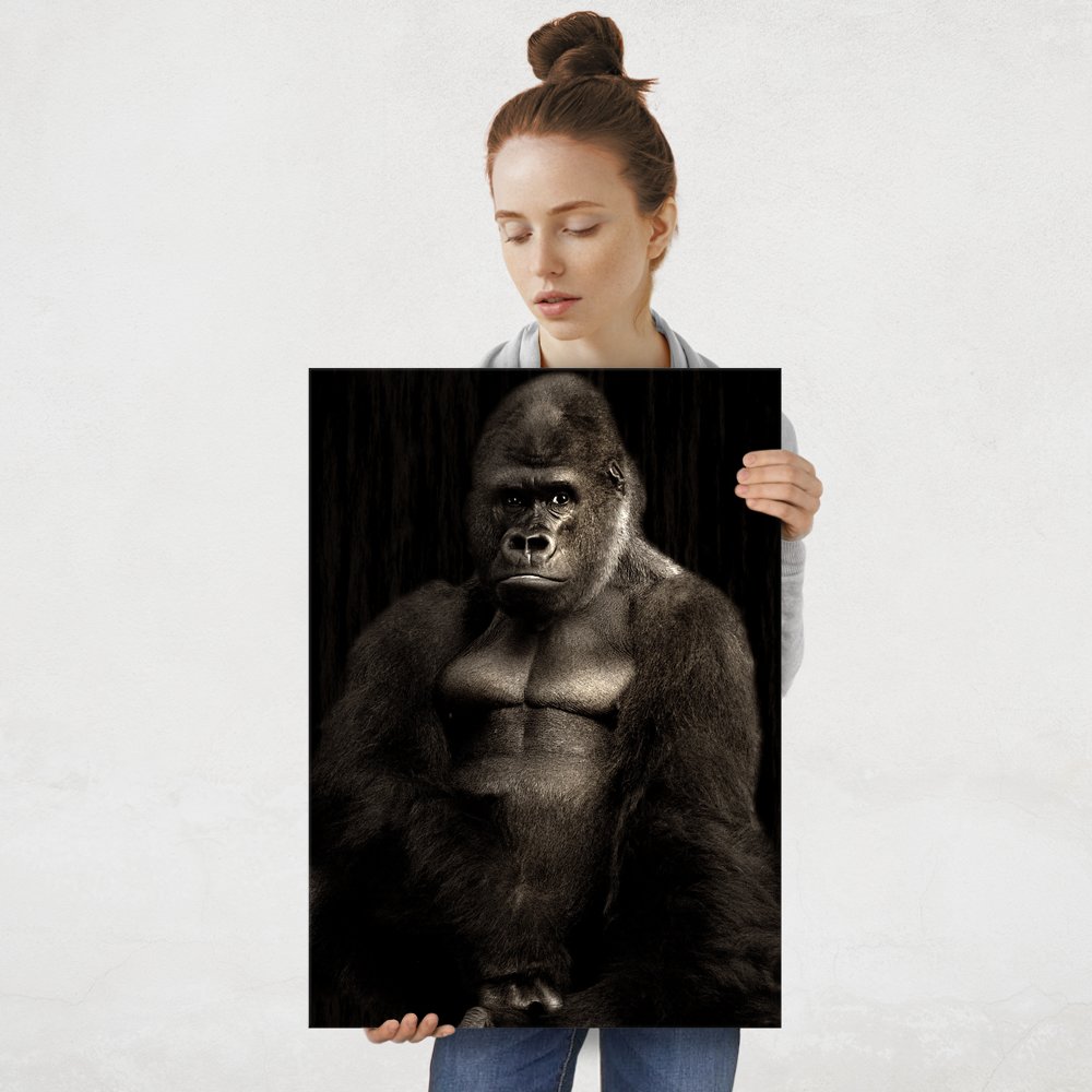 Plakat metalowy goryl L