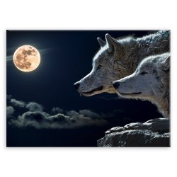 Plakat metalowy wilki w pełni M