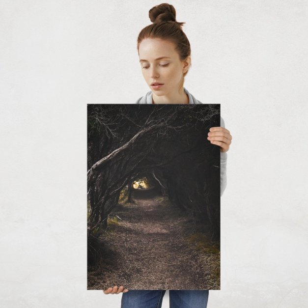 Plakat metalowy tajemnicza ścieżka L