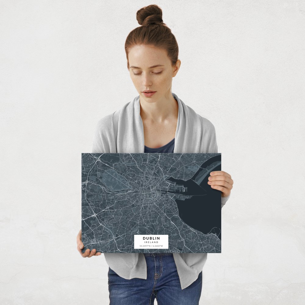 Plakat metalowy Mapa Navy Dublin M