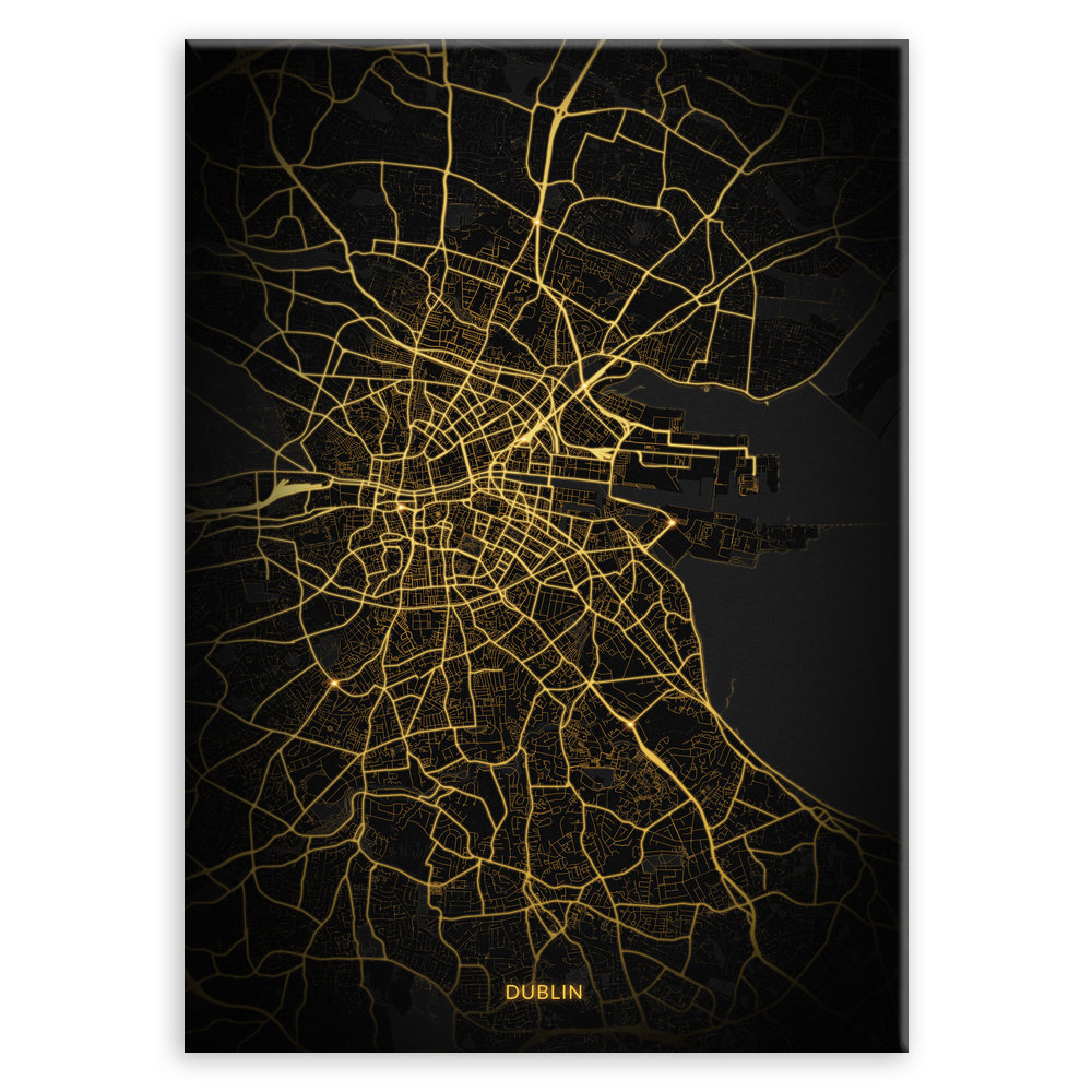 Plakat metalowy Mapa City Lights Dublin M