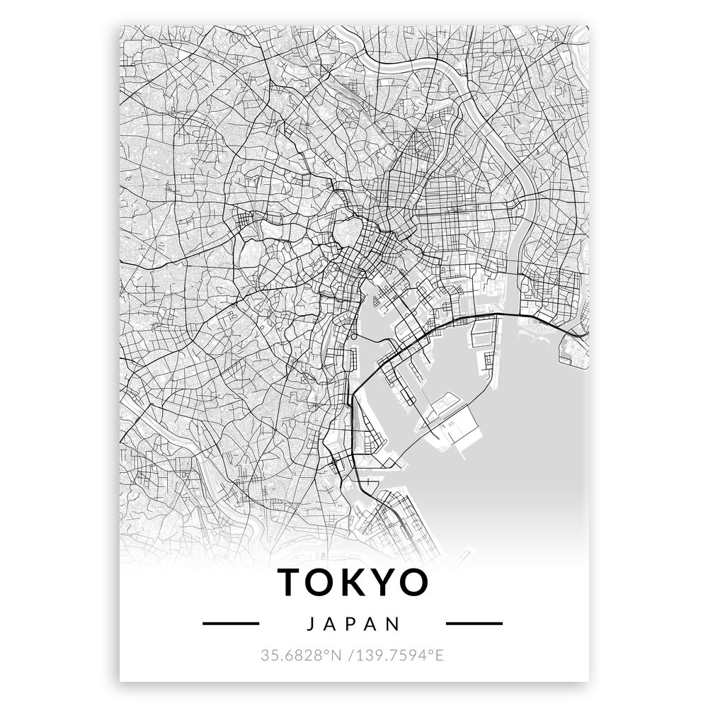 Plakat metalowy Mapa B&W Tokio M
