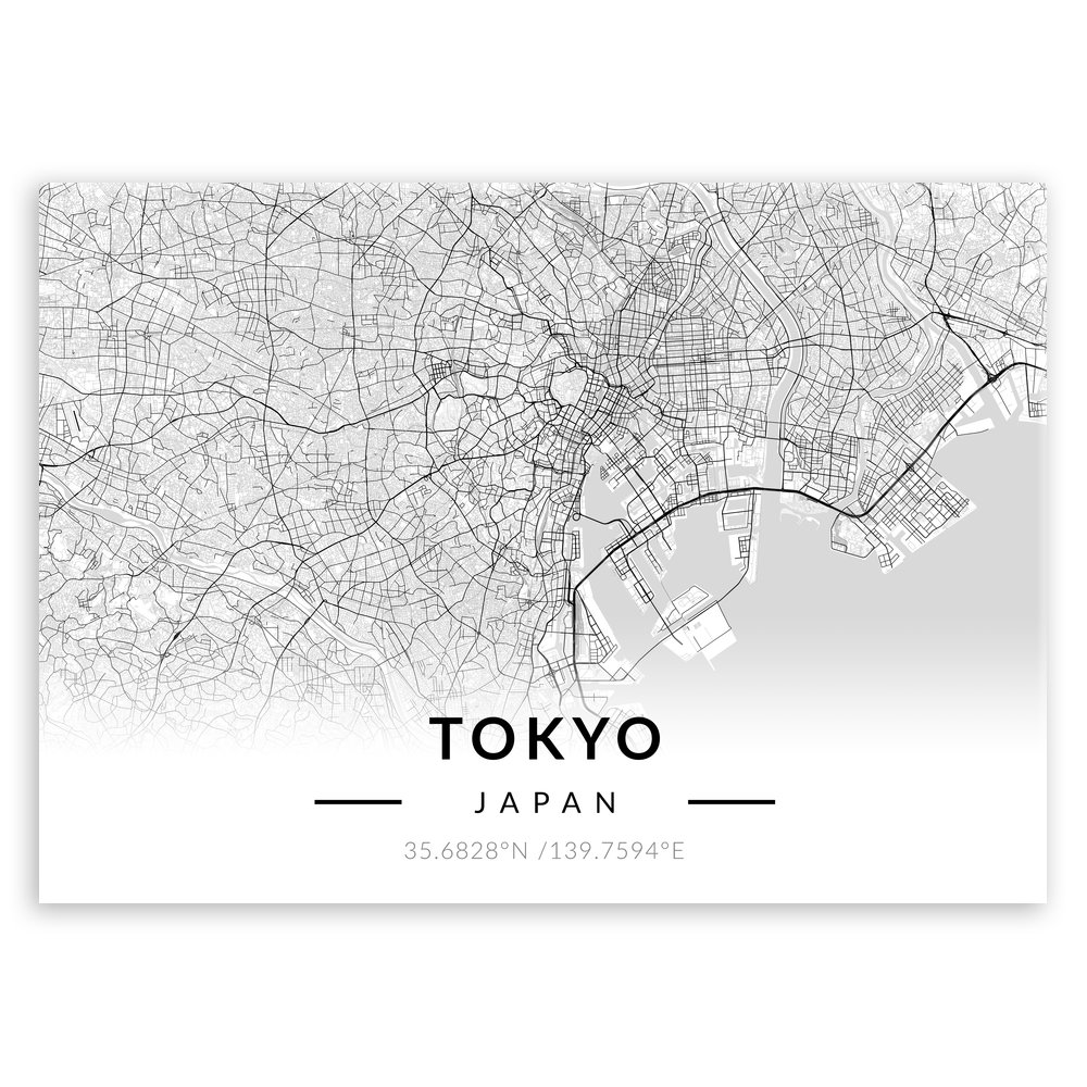 Plakat metalowy Mapa B&W Tokio L