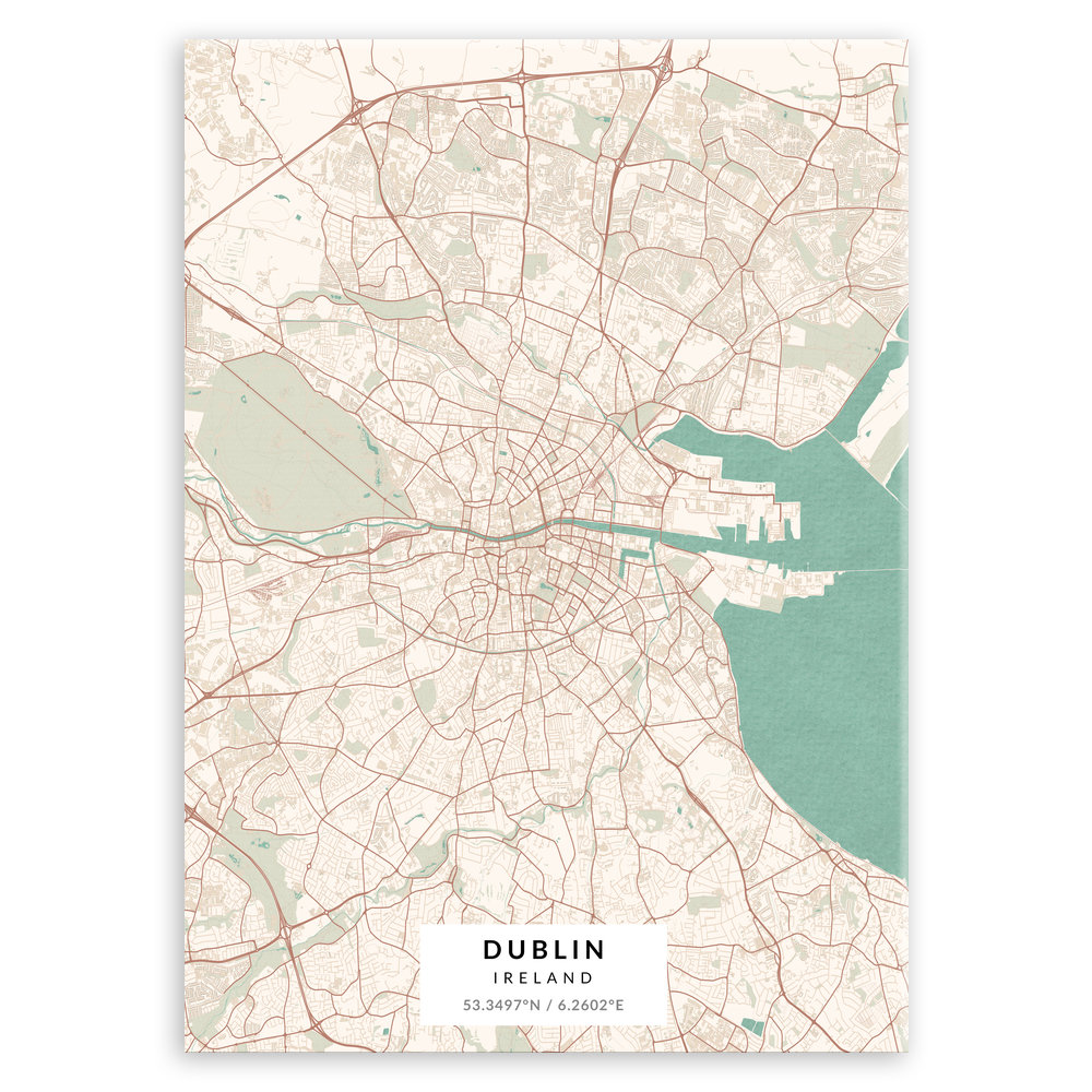 Plakat metalowy Mapa Vintage Dublin M