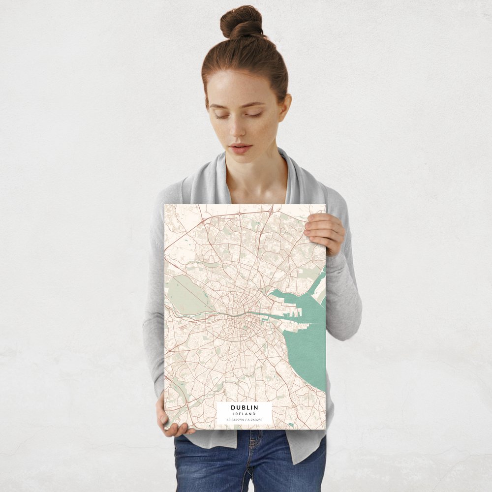 Plakat metalowy Mapa Vintage Dublin M